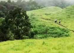 Jungle Trekking in  Shimoga in Shimoga