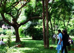 Kunigal Park in Tumkur