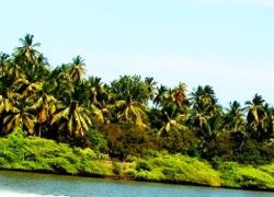 Plage Paradiso Beach in Pondicherry