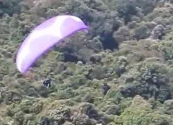 Paragliding in Bir Billing