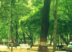 Empress Gardens in Solapur