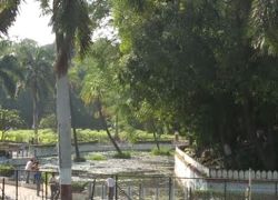 Saras Baug
