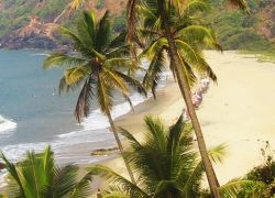 Arambol Beach