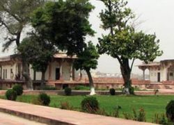 Dayalbagh Gardens in Agra