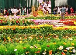 Lalbagh Botanical Garden in Bangalore