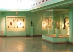 National Museum of Natural History in Delhi