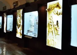 Archaeological Museum, Delhi