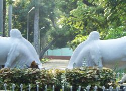 Botanical Gardens in Pondicherry