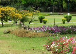 Shanti Kunj Garden in Chandigarh