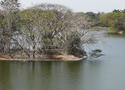 Karanji Lake in Mysore