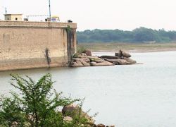 Osman Sagar