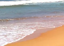 Candolim Beach