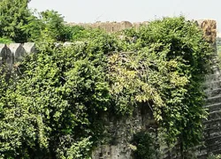 Uparkot Fort in Junagadh