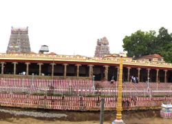 Meenakshi Temple in Madurai