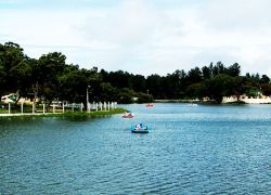 Yercaud Lake in Salem