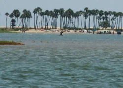 Pulicat Lake