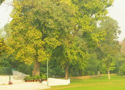 Botanical Gardens