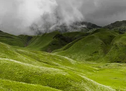 Dzukou Valley in Kohima