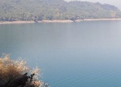 Govind Sagar in Bilaspur