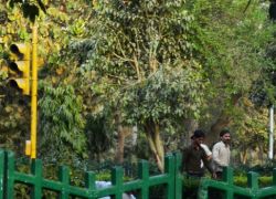Urdu Park in Delhi