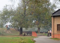 Salimgarh Fort