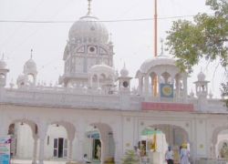 Amb Sahib Gurdwara in Chandigarh