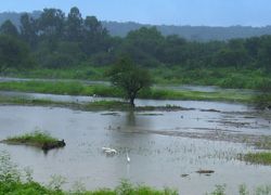 Pashan lake in Pune