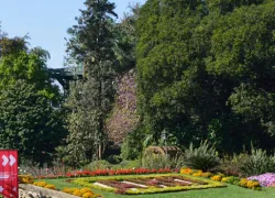 Horticultural Garden