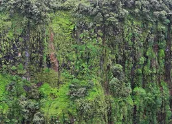 Thoseghar Waterfall in Satara