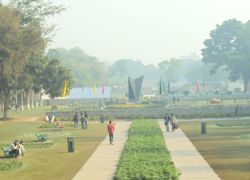 Terraced Flower Garden
