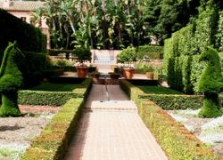 Topiary Park in Chandigarh