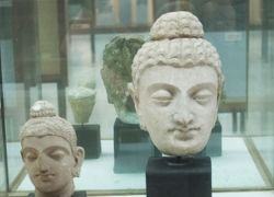 Chandigarh Art Gallery