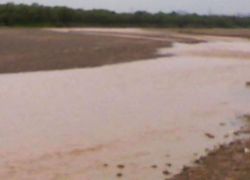 Sarasvati River in Ghaggar