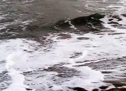 Gopalpur On Sea in Puri