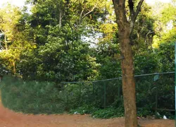 Trekking in Agumbe Ghat in Shimoga