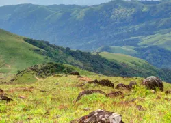 Mountain Trekking in Sullia in Sullia