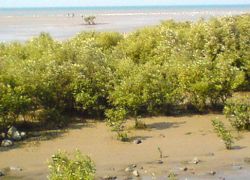 Marine National Park in Jamnagar