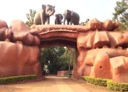 Chandaka Elephant Reserve