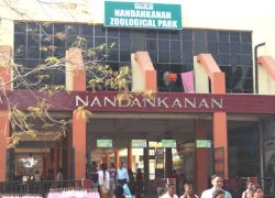 Nandan Kanan National Park in Bhubaneswar