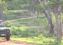 Bandipur National Park in Mysore
