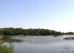 Sultanpur National Park in Gurgaon