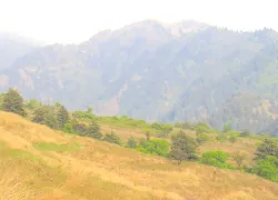 Dachigam National Park in Kashmir