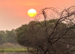Keoladeo National Park in Bharatpur