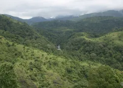 Silent Valley National Park in Palakkad
