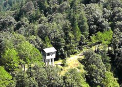 Chail Sanctuary in Chail