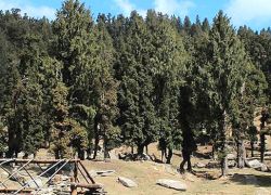 Churdhar Sanctuary in Shimla