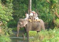 Manali Sanctuary in Kullu