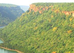 Darrah Wildlife Sanctuary in Kota