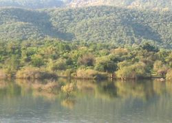 Sariska Wildlife Sanctuary