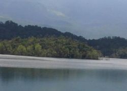 Peppara Wildlife Sanctuary in Thiruvananthapuram